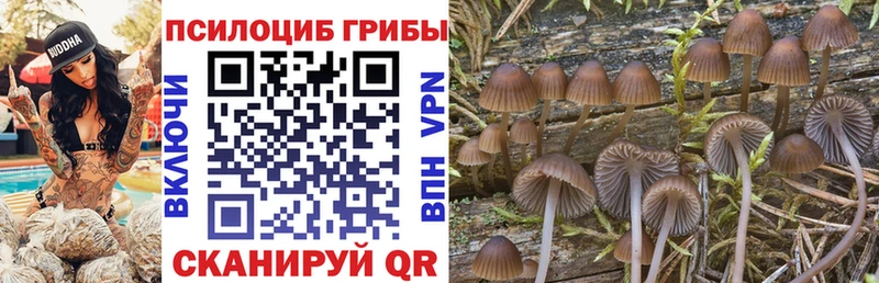 Псилоцибиновые грибы мицелий  Борисоглебск 